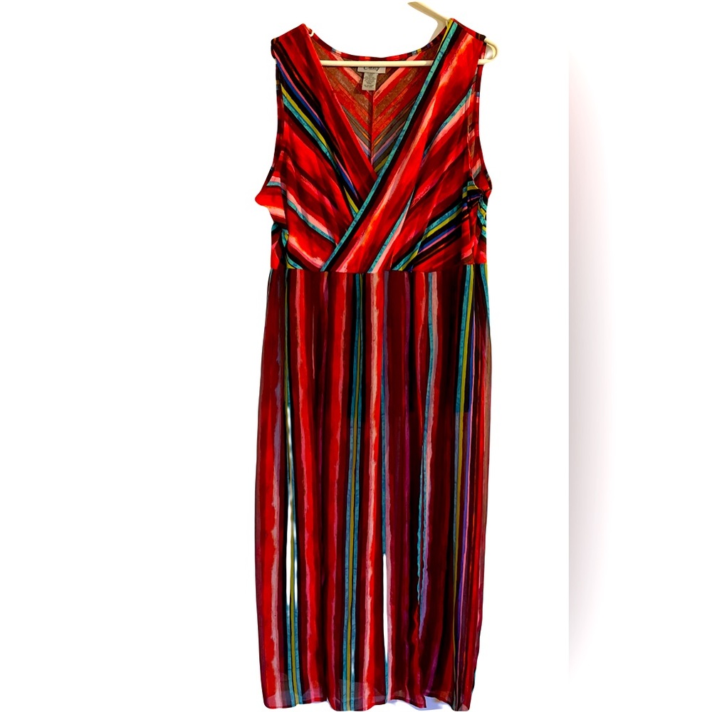 Catherine’s Curvy Collection paint suit